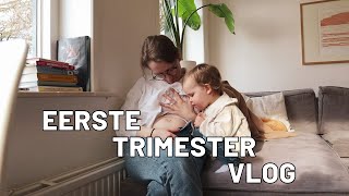 Mijn hele eerste trimester  week 4 tot 13  een vlog [upl. by Neda]