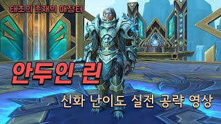 안두인 린 신화 난이도 공략  태초의 존재의 매장터 [upl. by Shauna]