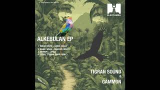 Gammon  Jungle Tigran Sound Remix ELEUTHERIA019 [upl. by Aicertap]