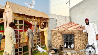 Pigeon House Ko Shift Kr Dia 🥰  Dog House Ka kam Bi Start Ho Gia ❤️ [upl. by Esther]