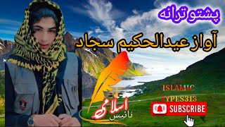 پشتو ترانی Pashto nazm [upl. by Annocahs480]