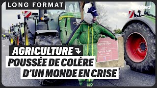 AGRICULTURE  POUSSÉE DE COLÈRE D’UN MONDE EN CRISE [upl. by Nolyk]