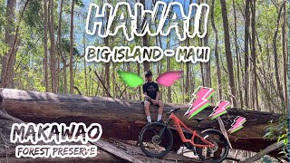 Fly with Kai  Big Island  Maui on eBike [upl. by Akirdnwahs]