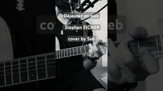 Déjeuner en paix  Stephan EICHER  cover by Seb [upl. by Noskcire]