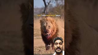 शेरनी की दहशत पति के डर से हिल गई👀😱😱shorts motivation lion sigmarule motivational animals [upl. by Goldfarb]