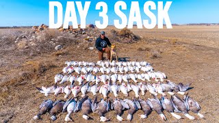 TINY ROCK PILE SNOW GOOSE HUNT [upl. by Adolpho]