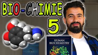 Episode 5 de Biochimie Structurale 🧪 🧬  Les Glucides  Prof Feynbert [upl. by Nwahsem]