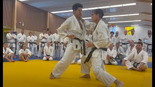 Rick Hotton sensei relaxed heaviness France 2023 [upl. by Artkele282]