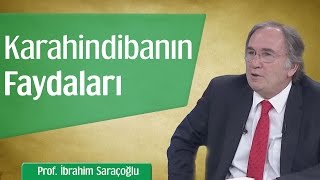 Karahindibanın Mucizevi Faydaları  Prof İbrahim Saraçoğlu [upl. by Daveen]