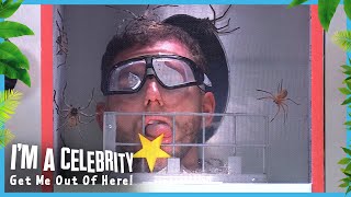 Dean Takes on Lethal Lab  Im A Celebrity Get Me Out of Here 2024 [upl. by Aneelad]