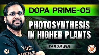 PHOTOSYNTHESIS IN HIGHER PLANTS CLASS 11  DOPA PRIME 05  NEET 2025 DOPA PRIME SOLUTION TARUN SIR [upl. by Yenreit133]