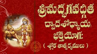 SRIMAD BHAGAVAD GITA CHAPTER 12 TELUGU LYRICS AND MEANING [upl. by Ardnauqal]