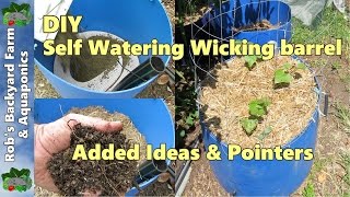 Self watering container  barrel with added ideas amp pointers [upl. by Aeikan]