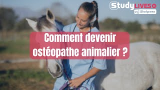 Comment devenir ostéopathe animalier [upl. by Dale]