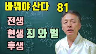 전생 현생 후생 죄를 지으면 짐승으로 태어나게 된다 [upl. by Naynek]