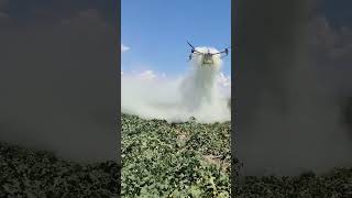 Drone Irrigation agricultureinnovation irrigationtech farming irrigationsolutions [upl. by Ayamat]