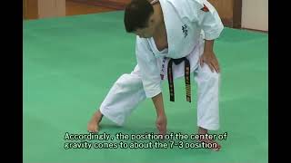 Kyokushin Kata Explanation  Taikyoku Sono Ichi 1 [upl. by Ane]