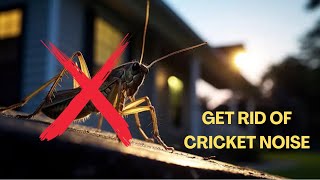 8 Best Tips to Get Rid of Annoying Cricket Noise at Night [upl. by Sunday]