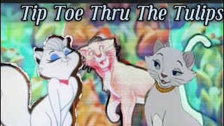 Aristocats amp Gay Purr ee “Animash” Mewsette  Duchess Thomas O’ Malley And Jaune Tom [upl. by Minton]