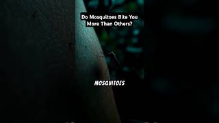 Why mosquitoes bite some people more than others mosquito mosquitobite mosquitofacts [upl. by Sera]