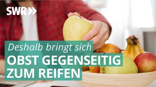 Warum bringt sich Obst gegenseitig zum Reifen  Marktcheck SWR [upl. by Towroy181]