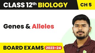 Genes vs Alleles [upl. by Barton]