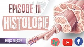 Episode 3 HistologieLe tissu musculaire  Le tissu nerveux [upl. by Eikcin]