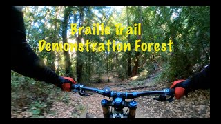 Braille Demonstration Forest 8 10 24 HD 1080p [upl. by Yssep]