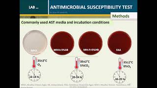 Antimicrobial Susceptibility Testing [upl. by Timmy128]