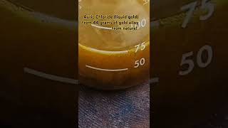 Auric Chloride liquid gold Dissolved 44 gram natural gold alloy diy gold goldrecovery forfun [upl. by Aiak951]