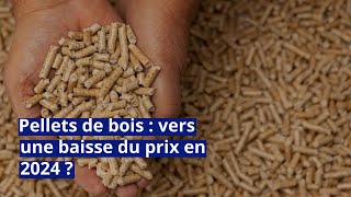 Pellets de bois  vers une baisse du prix en 2024 [upl. by Karalee567]