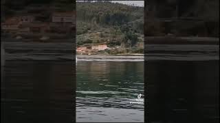 Delfines en la Ría de Ferrol [upl. by Centonze]