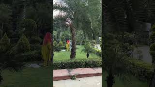 Green 💚 park 🏞️ kanpur ytshorts subscribemychannel [upl. by Novit]