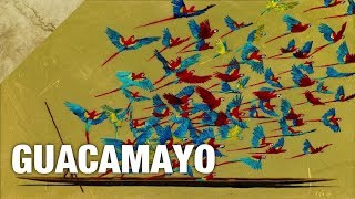 Danit Treubig  Guacamayo  Lyrics  Letra  Paroles [upl. by Onilatac]