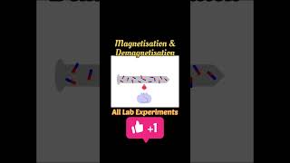 Magnetization amp Demagnetization  Explanation with Animation physics shorts [upl. by Arbba767]