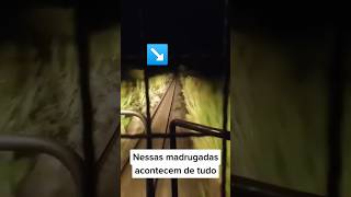 Uma nevoa 3h madrugada fantasmas madrugada [upl. by Cain706]