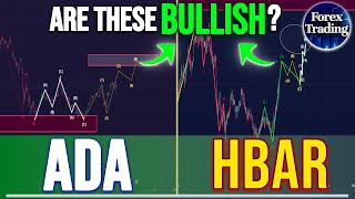 What is Next for CARDANO and HBAR   CARDANO and HBAR Price Prediction  HBAR and ADA News Now [upl. by Roseanne938]