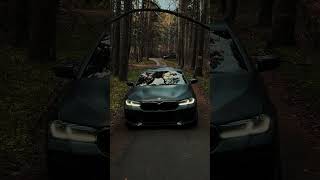 BMW M550i in the Ural forest [upl. by Arva]