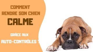 Comment avoir un chien calme à laide des autocontrôles [upl. by Tenenbaum793]