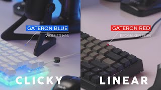 Gateron Blue Vs Gateron Red  Clicky Vs Linear Switches Typing Test ASMR [upl. by Aynotak]