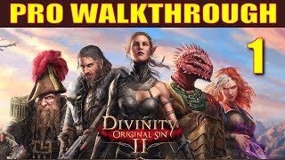 Divinity Original Sin 2 Walkthrough Part 1  5 Things They Dont Tell You in Character Creation [upl. by Esmerolda556]