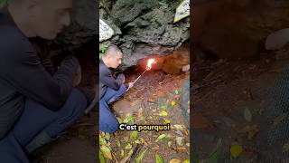 NExplorez Jamais Des Grottes Comme CelleCi 😲 [upl. by Ardnael498]