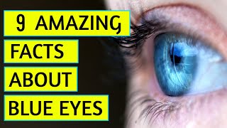 9 Amazing Facts About Blue Eyes [upl. by Torin69]