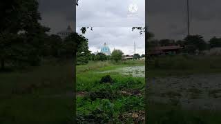 World begets temple 🛕  mayapur iscon  ❤️ 😍 [upl. by Ailaham]