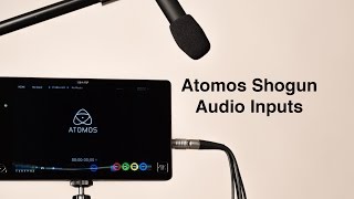 Atomos Shogun XLR Audio Inputs Decent Preamps [upl. by Wendel]