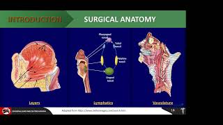 Oropharyngeal SCC An Overview Dr Dadi Hassan [upl. by Kong]