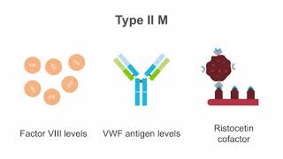 Interpreting tests for von Willebrand disease VWD [upl. by Elik]