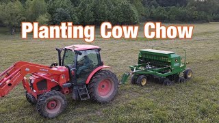 Planting Summer Annuals sorghum sudan grass amp sunn hemp for grazing [upl. by Thaddeus]