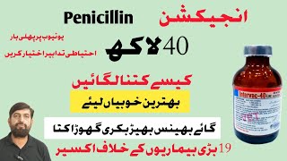 Injection Penicillin 40 Lac  Uses In Buffalo Cow Goat Horses [upl. by Anilah]