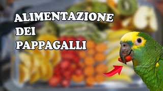 ALIMENTAZIONE DEI PAPPAGALLI  3 RICETTE FACILI E VELOCI [upl. by Gianni251]